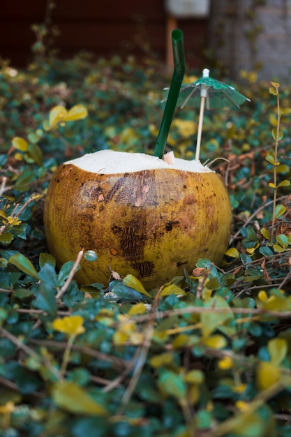 Kostenloses Foto nahaufnahme der kokosnuss mit trinkhalm und regenschirm