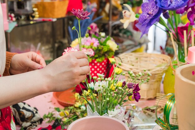 Nahaufnahme der menschlichen Hand die Blume anordnend