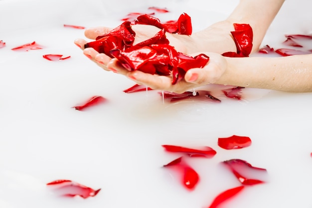 Nahaufnahme der nassen Hand einer Frau mit den roten Blumenblumenblättern im Whirlpool mit Milch