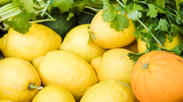 Nahaufnahme der saftigen Zitrone mit frischem Koriander im Marktstall