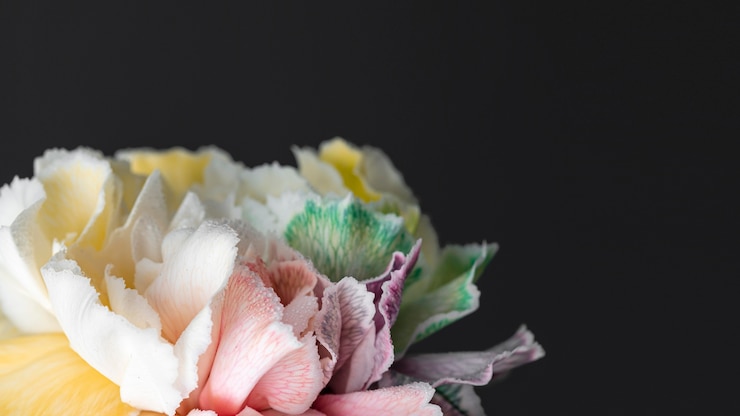 Kostenlose Foto nahaufnahme der schönen blühenden blume