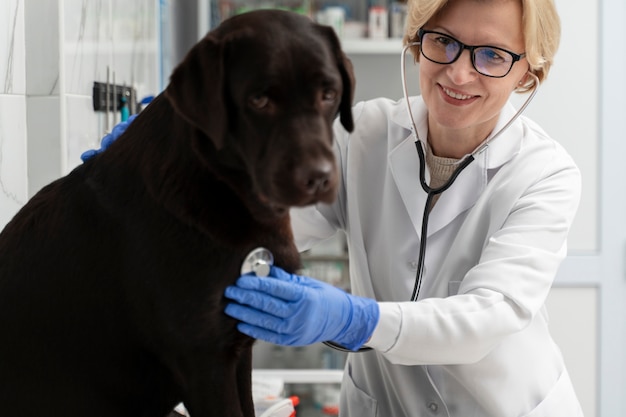 Kostenloses Foto nahaufnahme der smiley-frau, die den hund überprüft