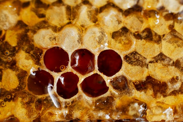 Nahaufnahme der Wabe mit Honig und Bienenwachs