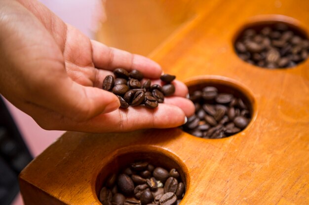 Nahaufnahme der weiblichen Hand Kaffeebohnen halten