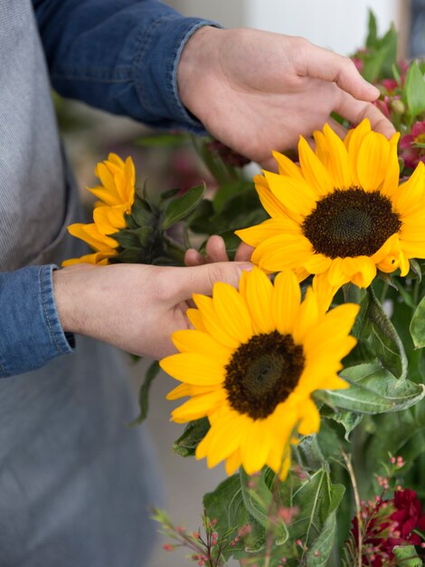 Nahaufnahme des Floristen die gelbe Sonnenblume berührend