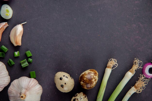 Nahaufnahme des Gemüses als Ei-Knoblauch-Schalotte auf kastanienbraunem Hintergrund mit Kopienraum