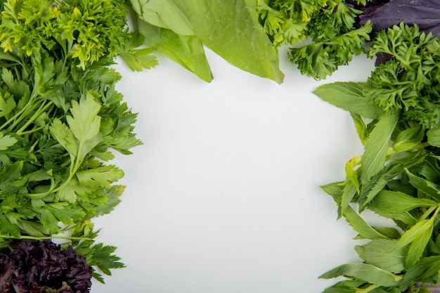 Nahaufnahme des grünen Gemüses als Koriander-Minz-Salat-Basilikum auf weißem Tisch mit Kopienraum