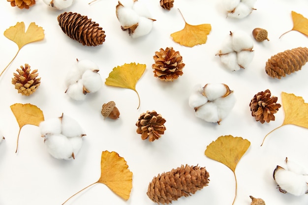 Nahaufnahme des Herbstlaubs, der reifen Baumwollpflanze und des Nadelbaumkegels auf weißem Hintergrund