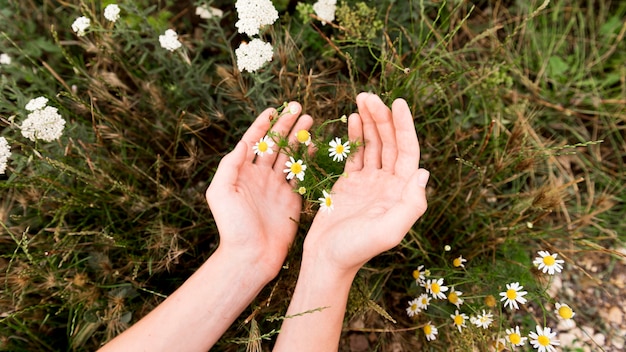 Nahaufnahme des Naturkonzepts