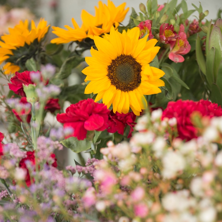 Kostenlose Foto nahaufnahme des schönen blumenblumenstraußes