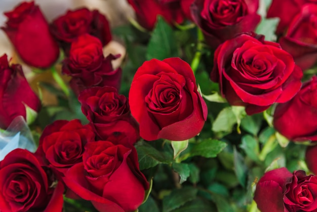 Nahaufnahme des schönen Blumenstraußes der roten Rosen