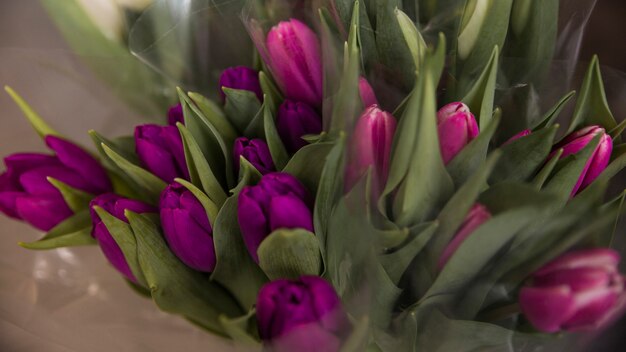 Kostenloses Foto nahaufnahme des schönen purpurroten blumenblumenstraußes