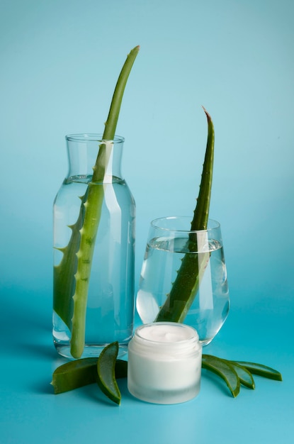 Nahaufnahme des Schönheitskonzepts der Aloe Vera