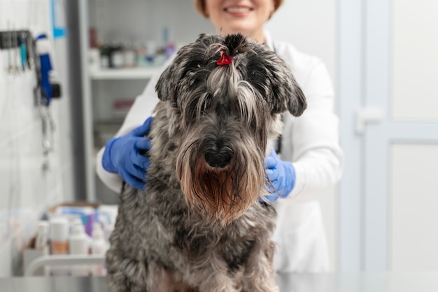 Nahaufnahme des Smiley-Arztes, der den Hund überprüft