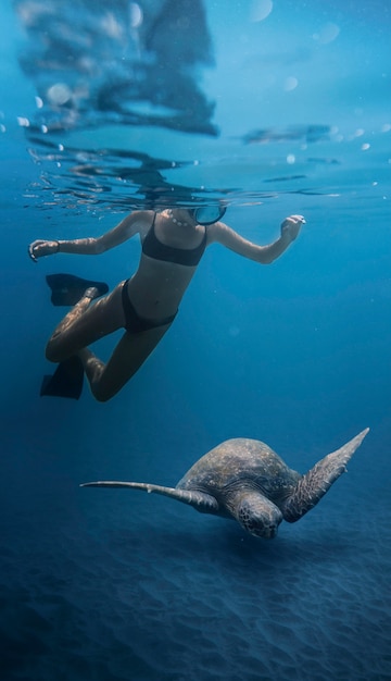 Nahaufnahme einer Frau, die mit einer Schildkröte schwimmt