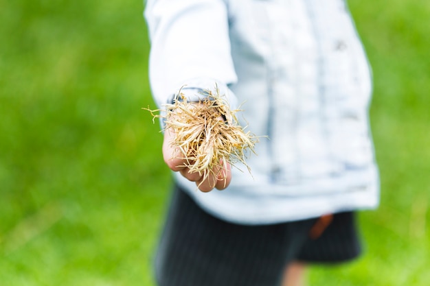 Kostenloses Foto nahaufnahme einer menschlichen hand, die gras hält