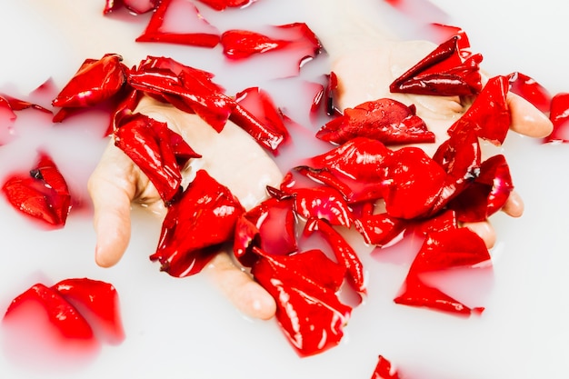 Kostenloses Foto nahaufnahme einer menschlichen hand mit den roten blumenblumenblättern im stollenweißen wasser