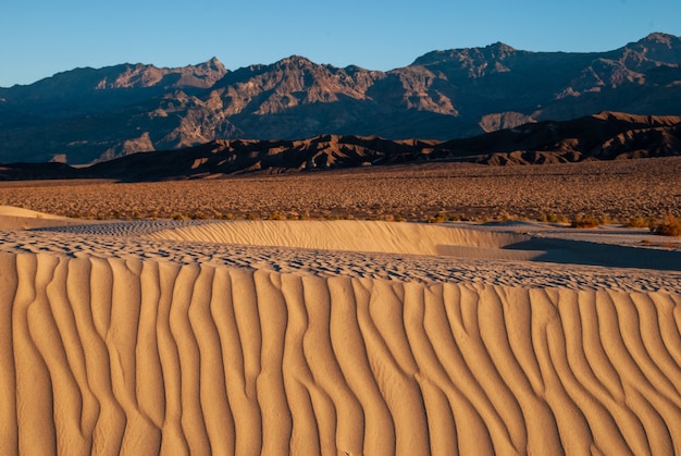 Nahaufnahme einer sandwellenstruktur in der wüste auf einem sandhügel vor den felsen