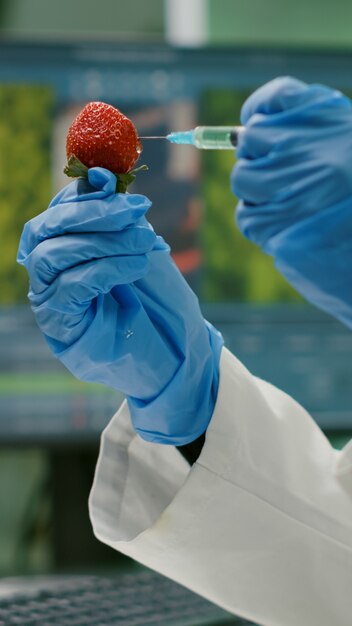 Nahaufnahme eines Biologen, der Erdbeeren mit DNA-Flüssigkeit injiziert, die Früchte für pharmazeutische medizinische Experimente überprüft