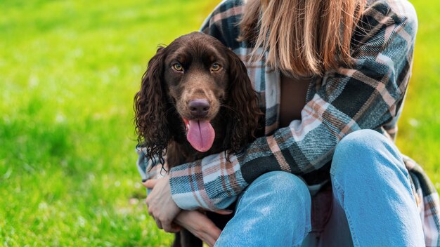 Nahaufnahme eines deutschen Spaniels mit Besitzer