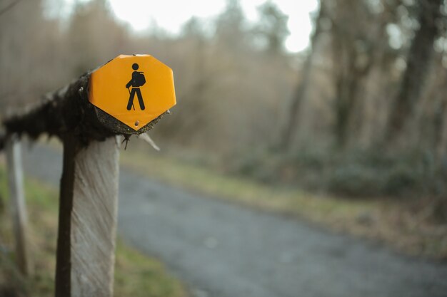 Nahaufnahme eines gelben Schildes im Wald
