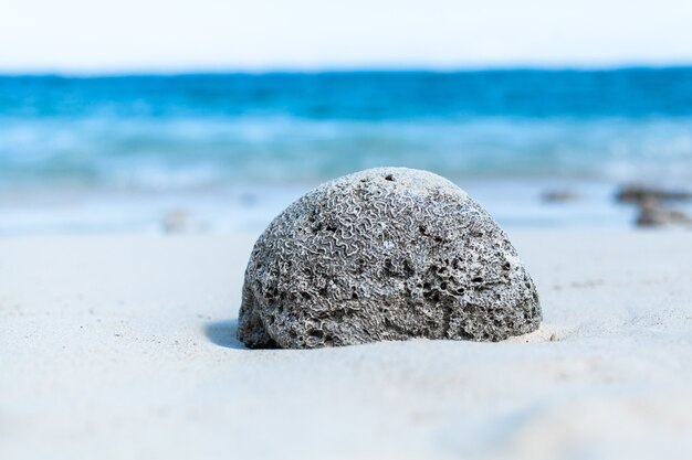 Nahaufnahme eines großen grauen Steins am Strand