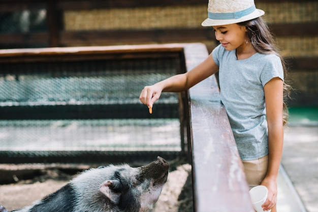 Nahaufnahme eines lächelnden Fütterungsplätzchens des Mädchens zum Schwein im Bauernhof