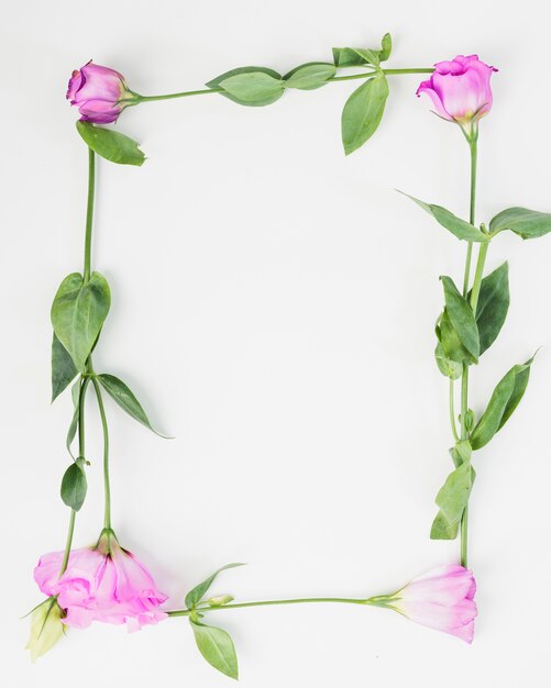 Nahaufnahme eines leeren Rahmens gemacht mit purpurroten Blumen auf weißem Hintergrund
