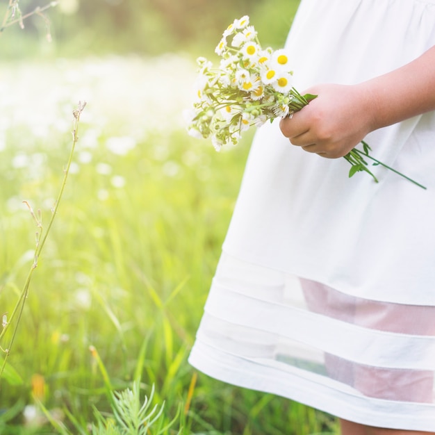 Nahaufnahme eines Mädchens, das frische weiße Blumen im Garten hält