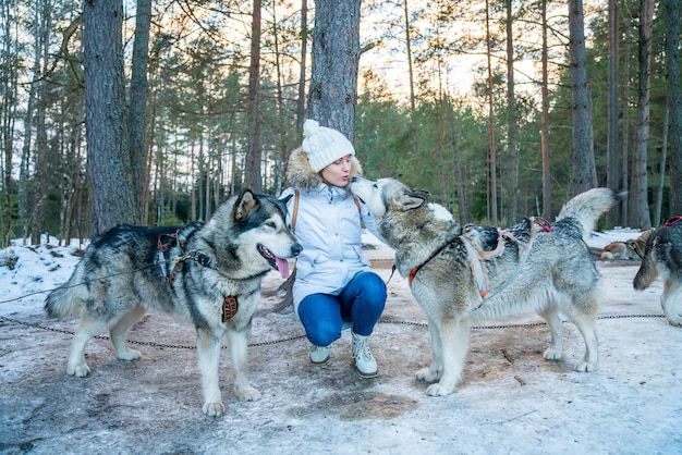 Nahaufnahme eines Mädchens mit Huskys Schlittenhunden in einem Schnee