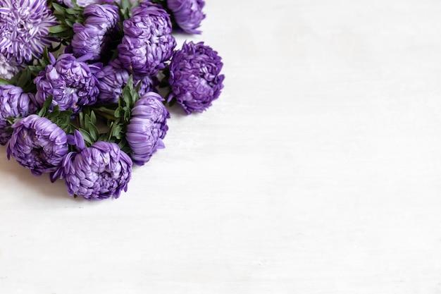 Kostenloses Foto nahaufnahme eines straußes frischer blauer chrysanthemen auf weißem hintergrund, kopienraum.