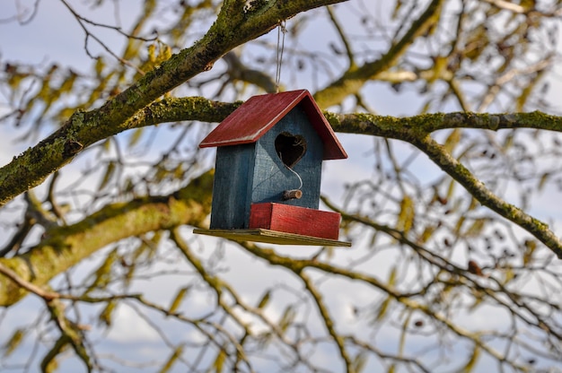 Nahaufnahme eines süßen Vogelhauses in Rot und Blau mit einem Herz, das an einem Baum hängt