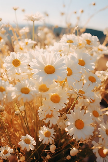 Kostenloses Foto nahaufnahme eines wunderschönen blumenstraußes