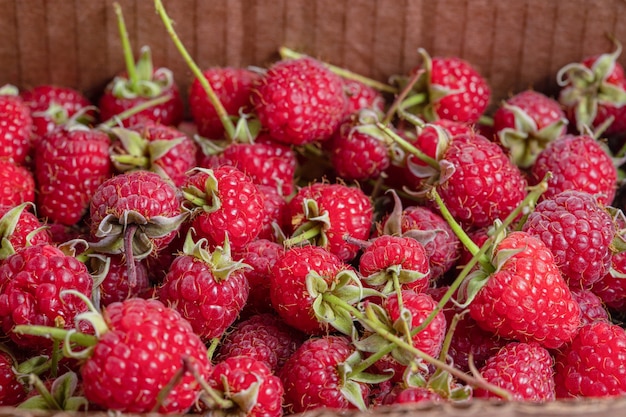 Nahaufnahme Foto von Bio-Himbeeren im Karton.