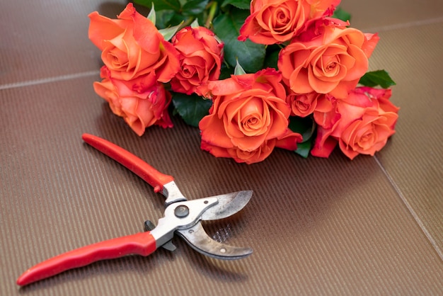 Kostenloses Foto nahaufnahme gartenschere mit eleganten roten rosen