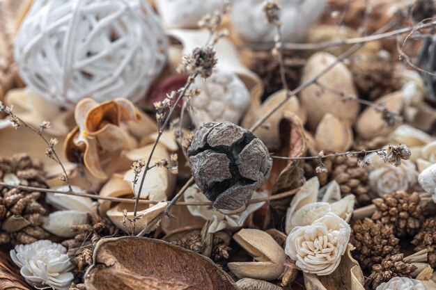 Nahaufnahme getrocknete Blumen getrocknete Pflanzen Makrofotografie