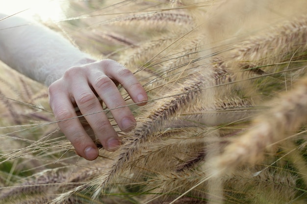 Kostenloses Foto nahaufnahme hand berührende pflanze