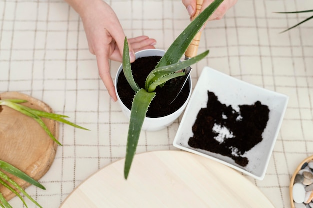 Nahaufnahme Hand, die Gartenwerkzeug hält