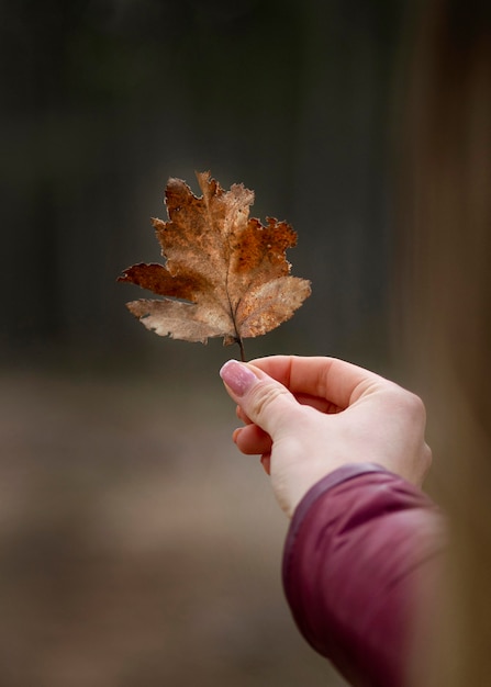 Nahaufnahme Hand mit Herbstblatt