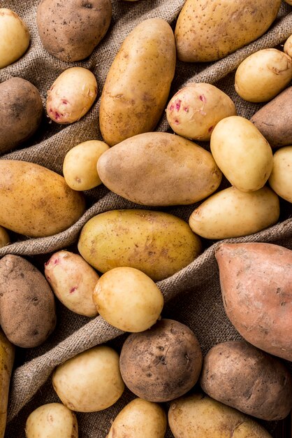 Nahaufnahme Kartoffeln auf Kleidung