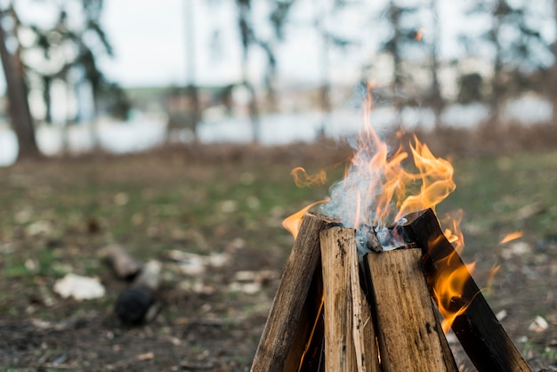 Nahaufnahme Lagerfeuer mit Flammen