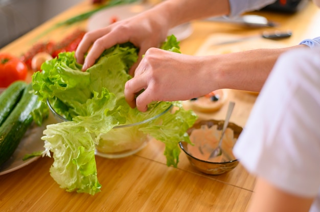 Nahaufnahme Salat und anderes Gemüse