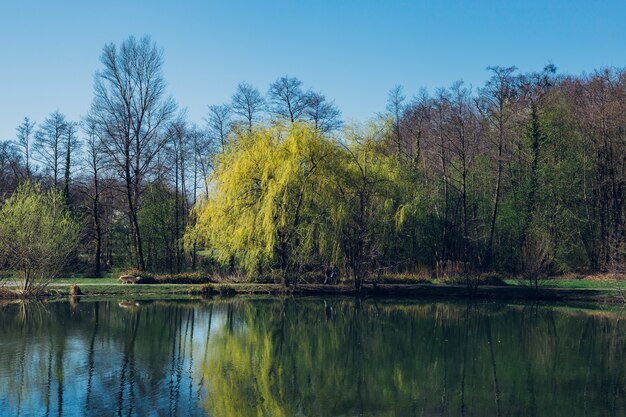 Nahaufnahme Schuss von Bäumen und einem See im Maksimir-Park in Zagreb Kroatien während des Frühlings