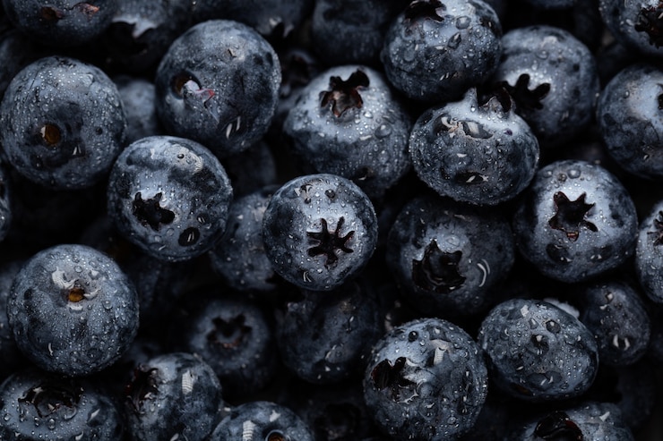 Kostenlose Foto nahaufnahme schuss von blaubeeren mit wassertropfen