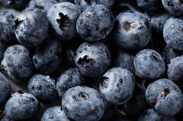 Nahaufnahme Schuss von Blaubeeren mit Wassertropfen