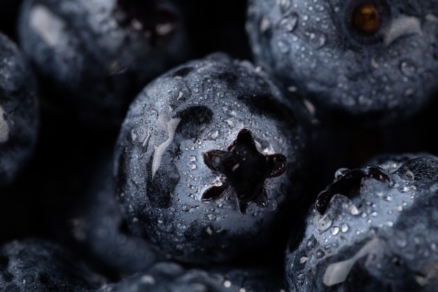 Nahaufnahme Schuss von Blaubeeren mit Wassertropfen