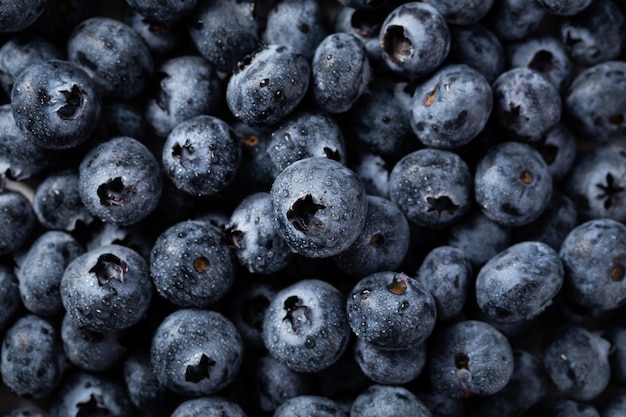 Nahaufnahme Schuss von Blaubeeren mit Wassertropfen