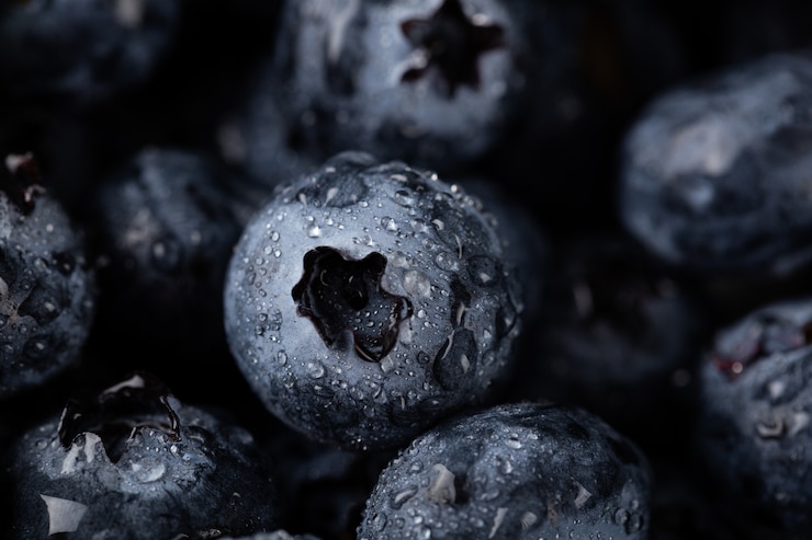 Kostenlose Foto nahaufnahme schuss von blaubeeren mit wassertropfen