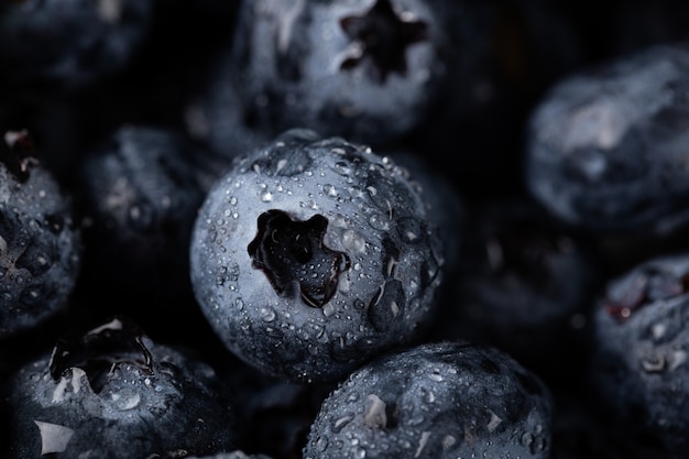 Nahaufnahme Schuss von Blaubeeren mit Wassertropfen