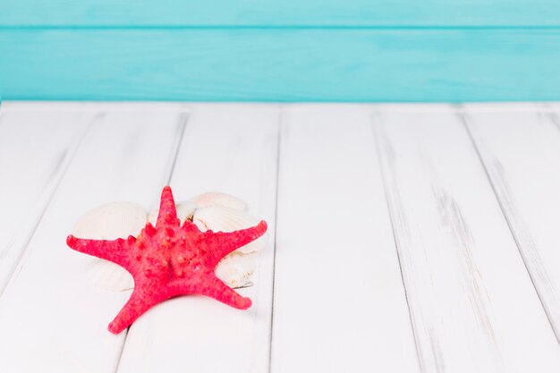 Nahaufnahme Starfish auf Muscheln